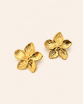 Boucles D’oreilles - Ava